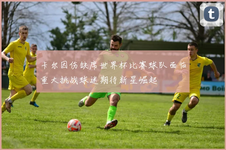 卡尔因伤缺席世界杯比赛球队面临重大挑战球迷期待新星崛起